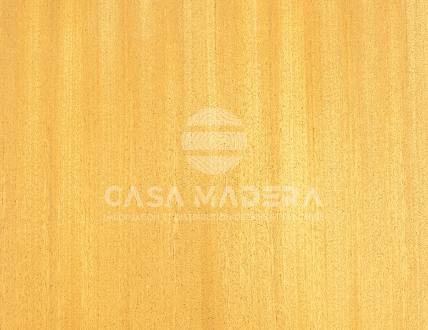 Essence Iroko