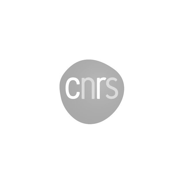 Logo cnrs dans un cercle sur fond blanc
