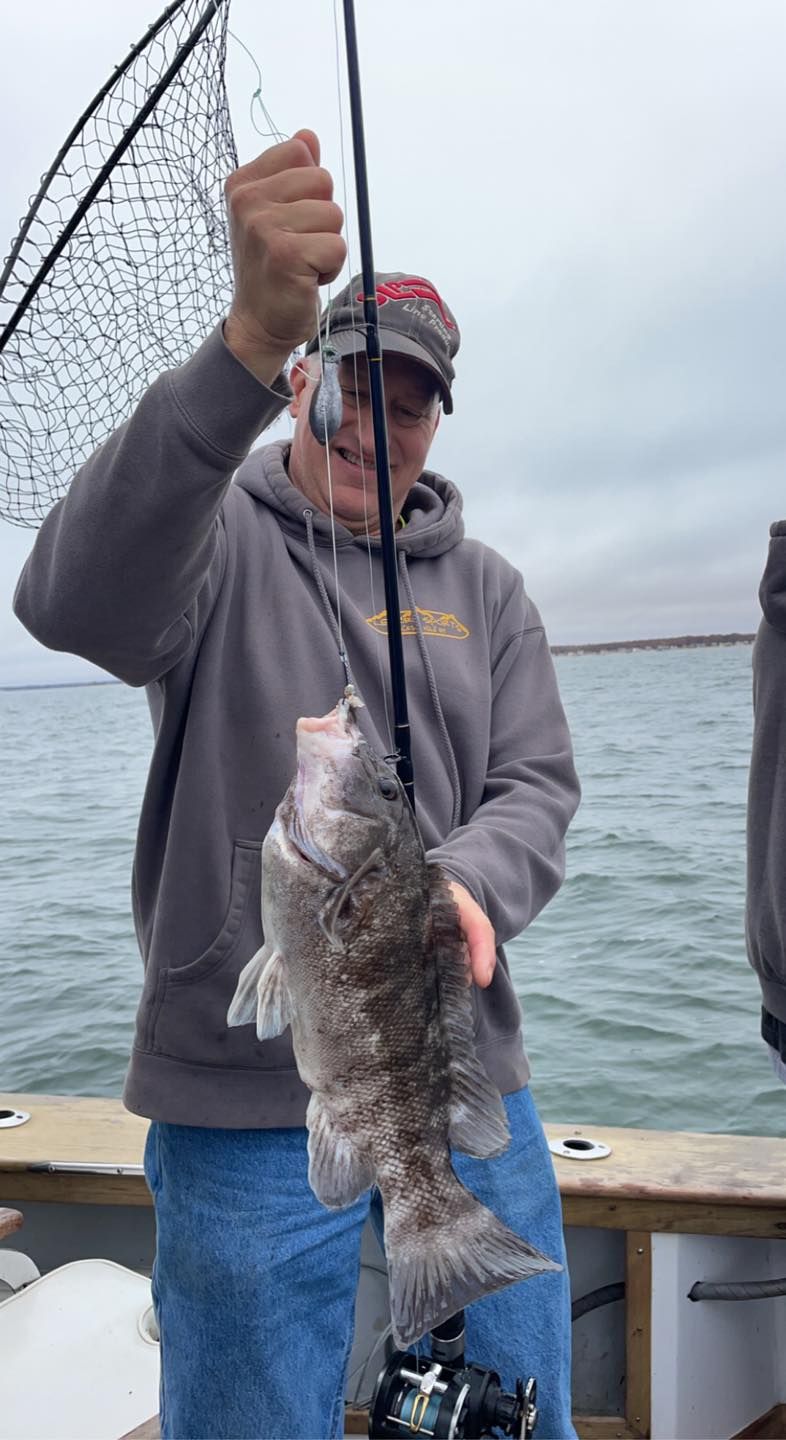 Person holding up a large fish on a boat dock by the water, wearing a gray hoodie and cap.