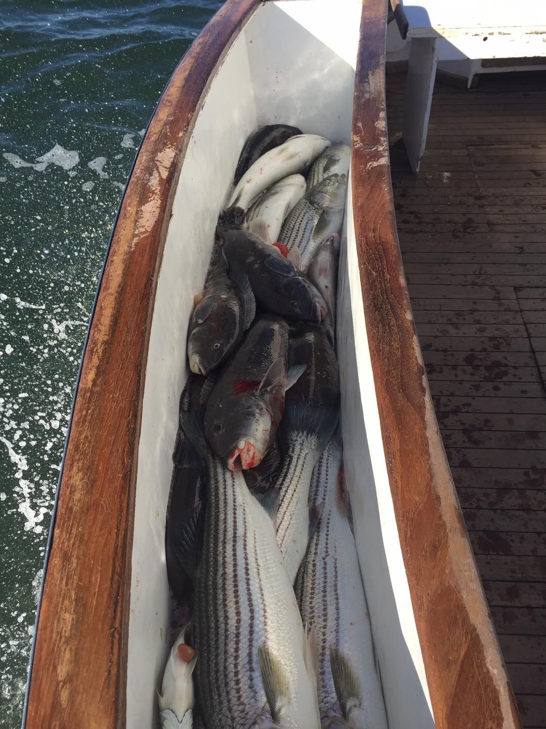 Fish piled in a boat’s white cooler beside a wooden deck and seawater