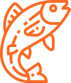 A stylized, orange outline icon of a leaping fish.