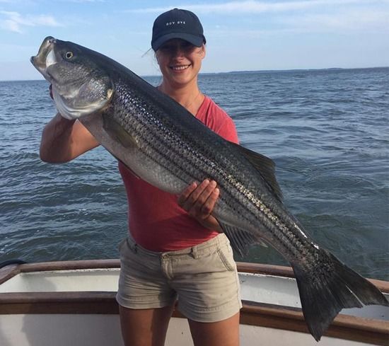 A person wearing a red shirt and hat holds a large striped bass on a boat on the water.