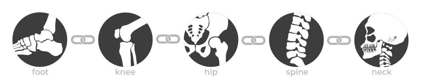 Diagram of human skeletal system: foot, knee, hip, spine, and neck, linked in sequence.