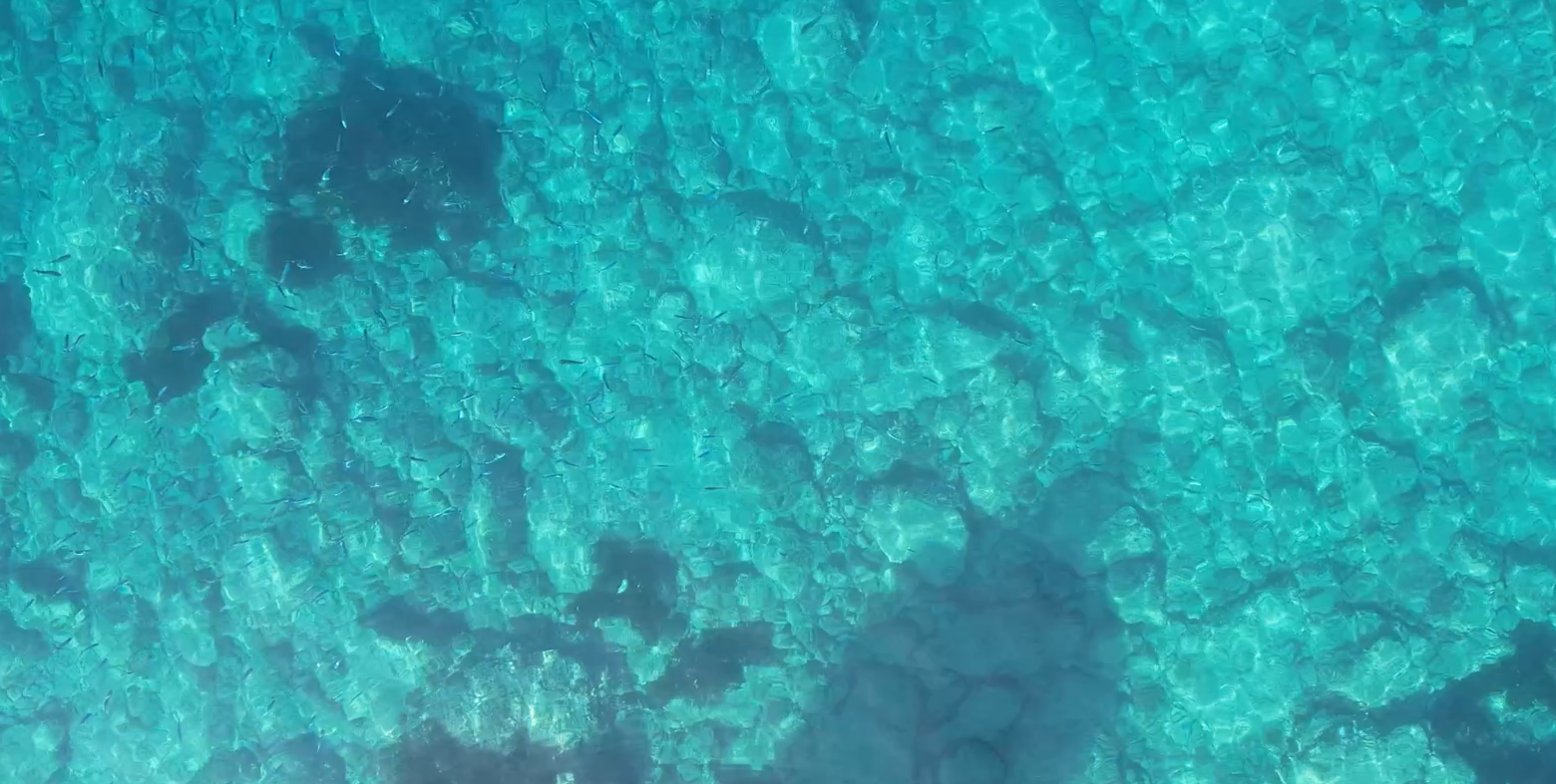 prenotazioni Tours Bonassola Rosa dei Venti 5 Terre Boat Tours da Levanto