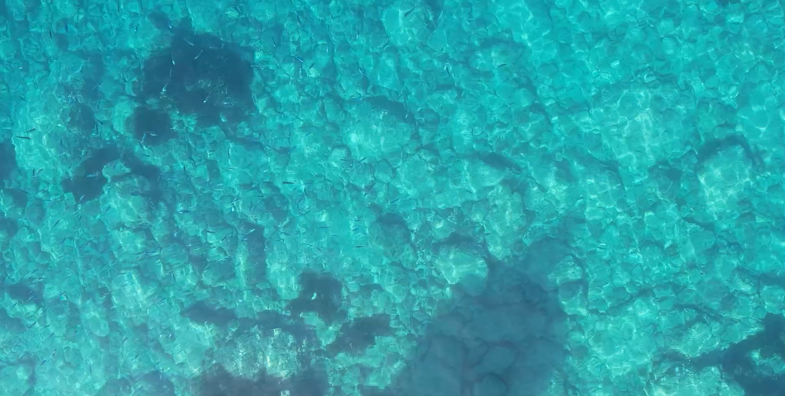 prenotazioni Tours Bonassola Rosa dei Venti 5 Terre Boat Tours da Levanto