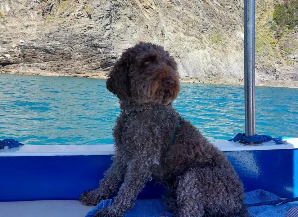 animali ammessi a bordo tour Rosa dei Venti 5 terre boats Toursda Levanto