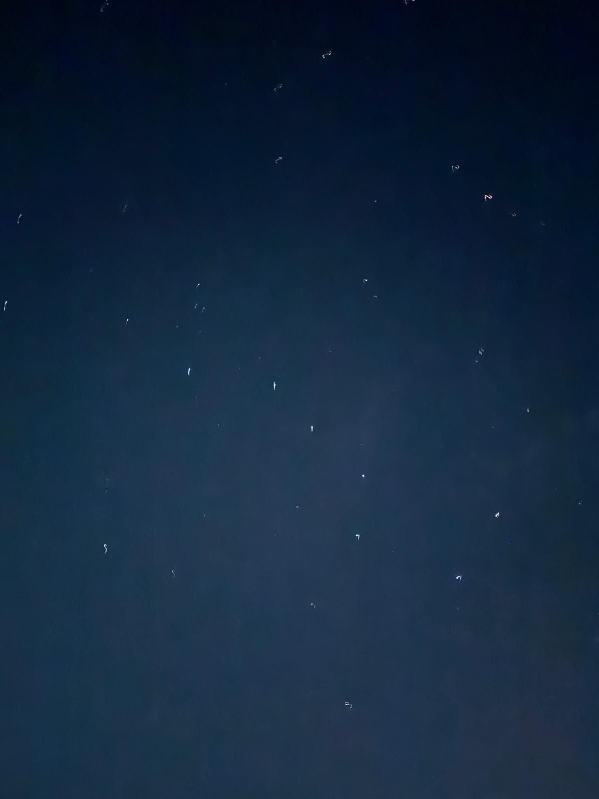 prenotazioni tour con guida Cinque terre con musica dal vivo e aperitivo Rosa dei Venti 5 terre boats Tours