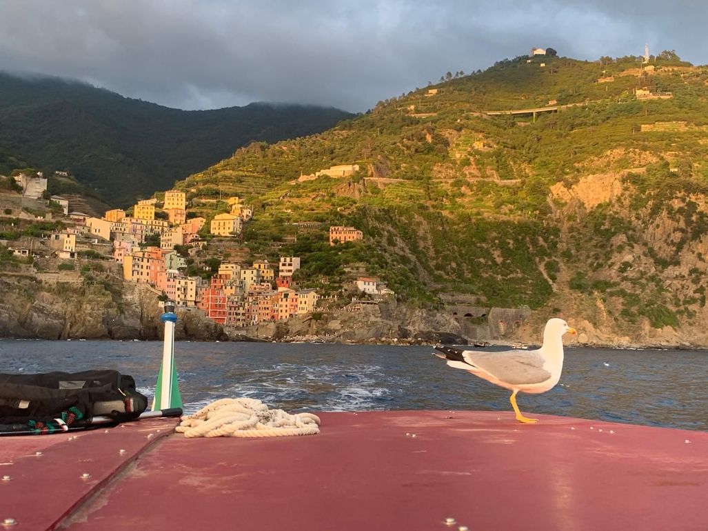 escursioni Rioaggiore barca Rosa dei Venti 5 Terre Boat Tours Levanto
