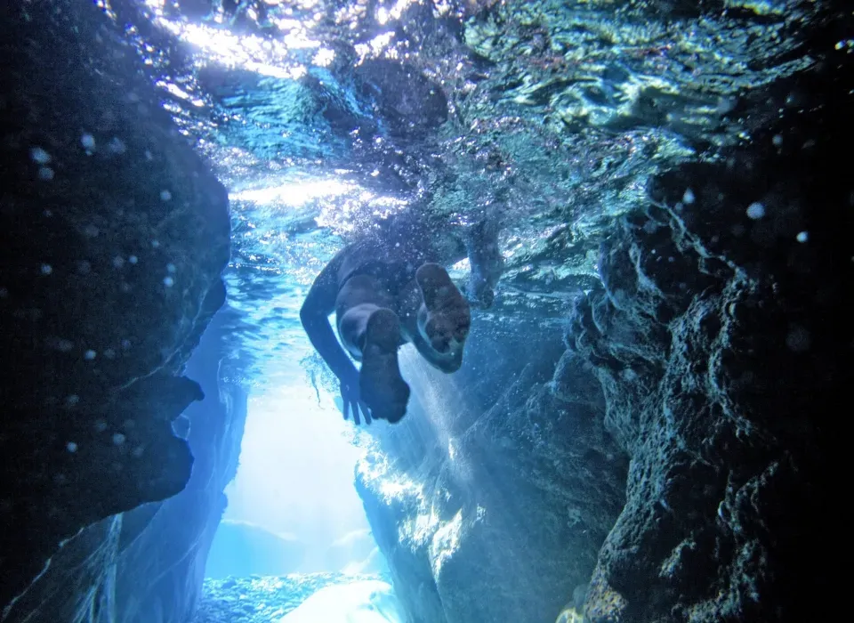 escursioni 5 terre brunch aperitivo snorkeling