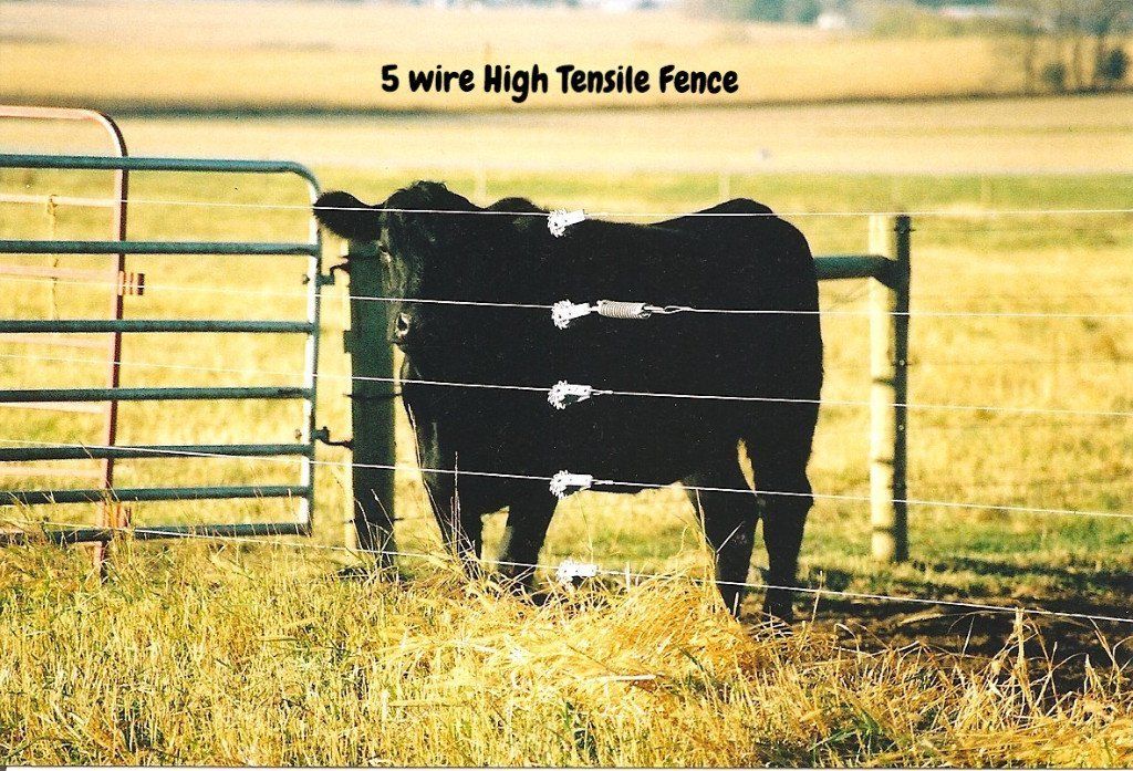 High Tensile Fence 5 wire