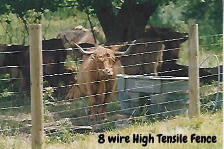 Cattle Fence 8 wire High Tensile