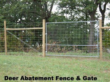 Deer Fence Gate