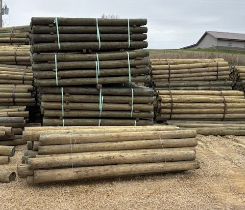 treated wood posts