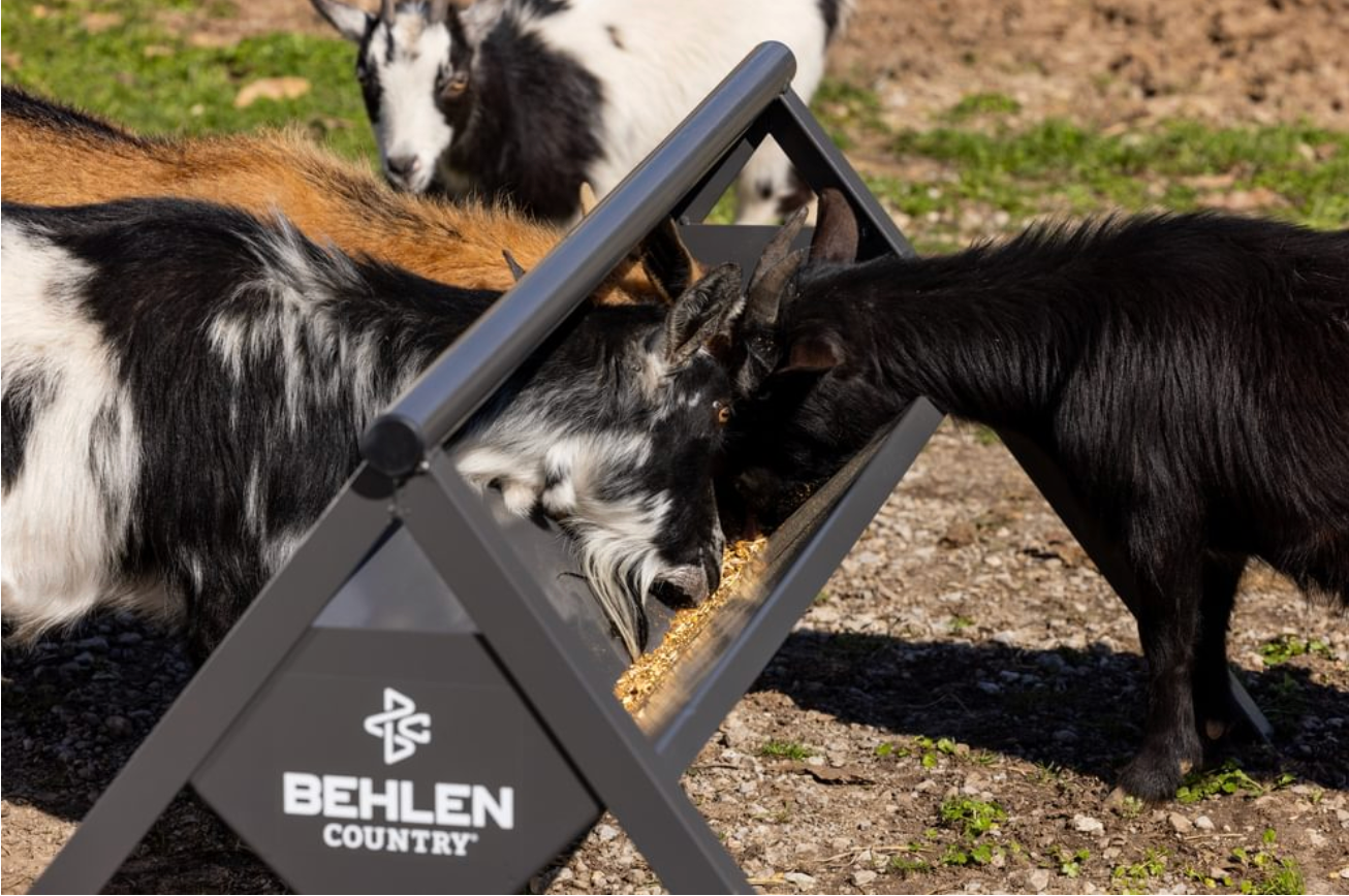 Commander Anti Tip Goat Sheep Feeder