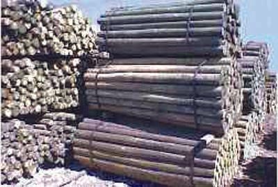 treated wood posts