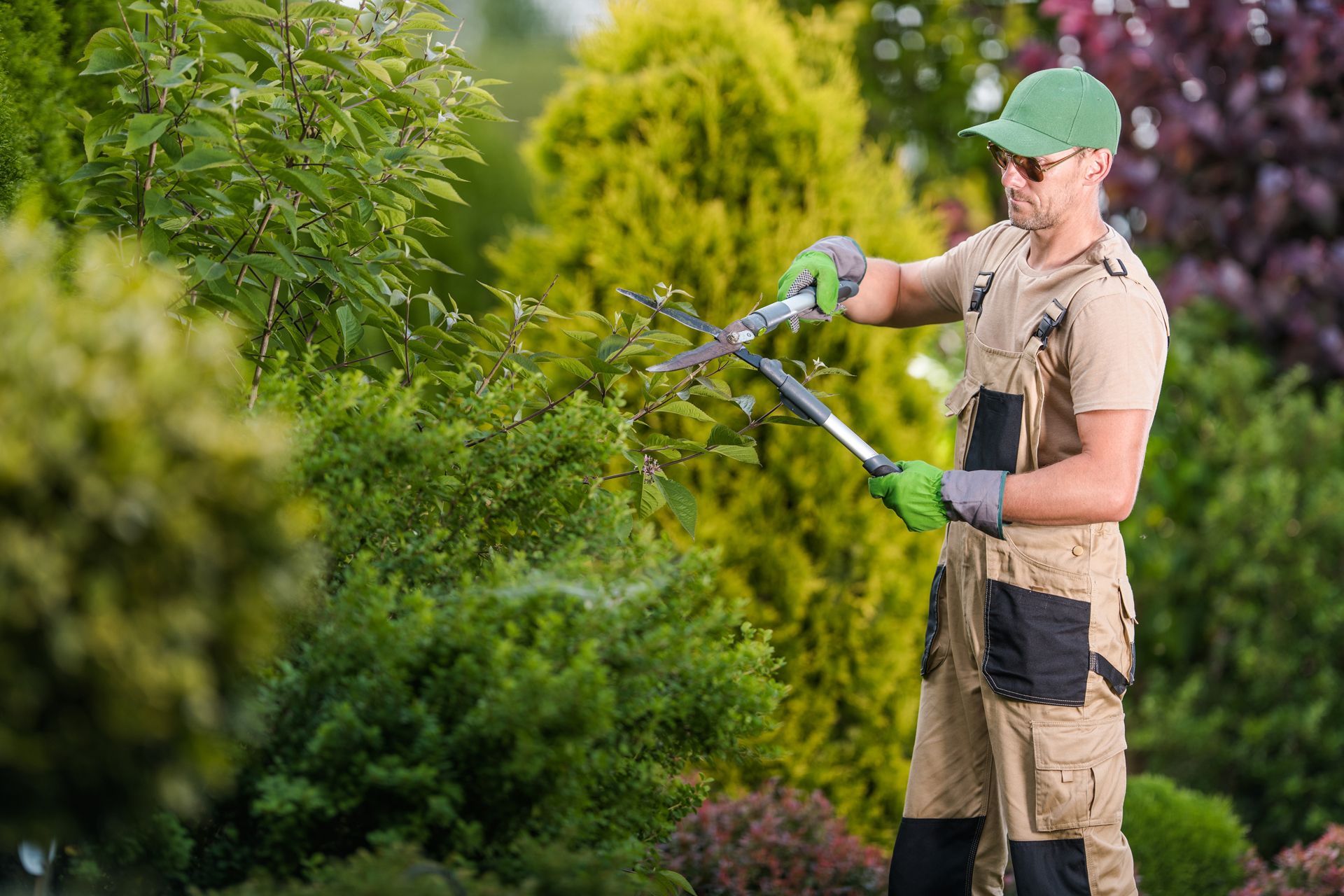 Gardener wearing gloves and hat trimming bushes with shears in a garden.