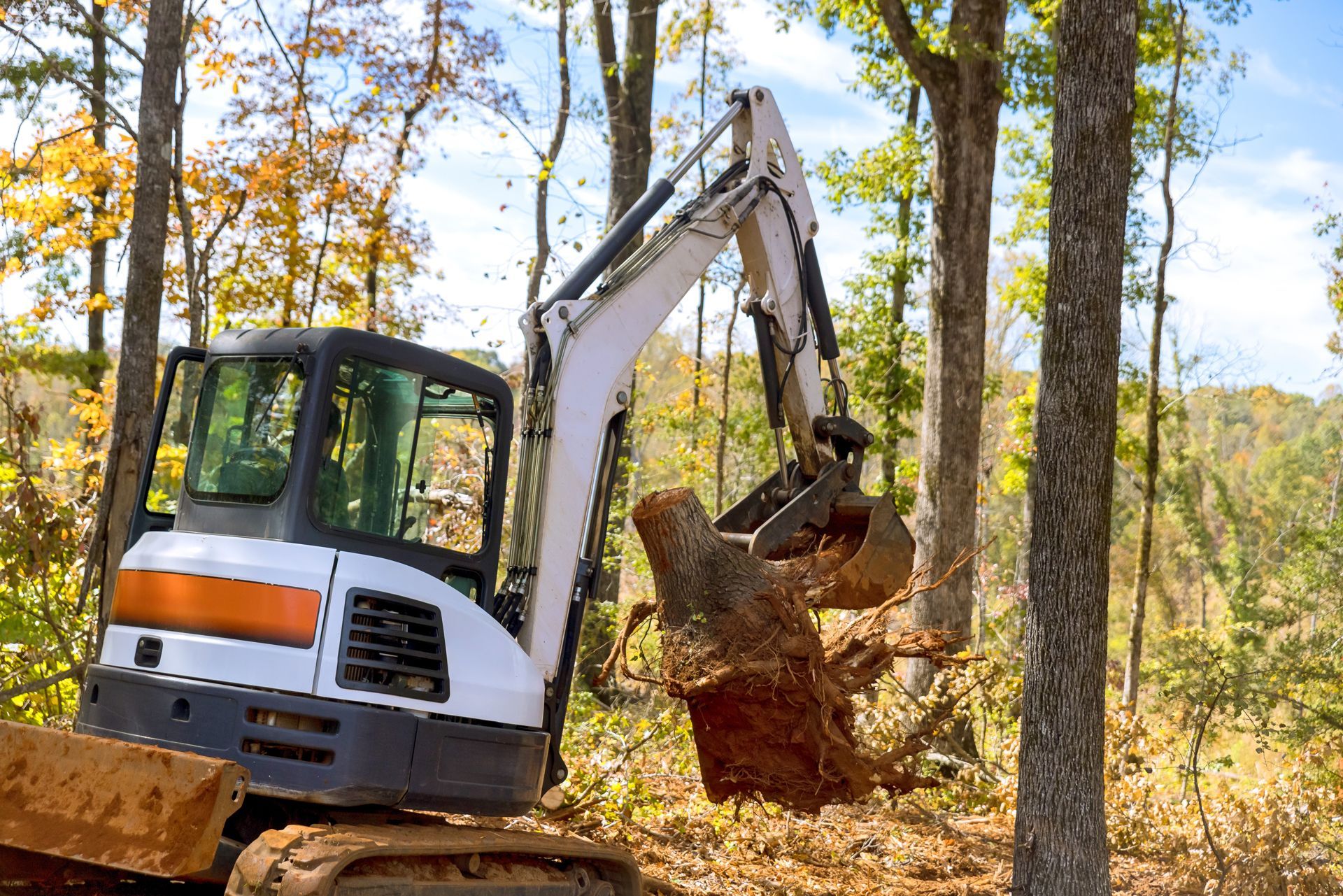 Excavator lifting a large tree root in a wooded area; autumn foliage visible.