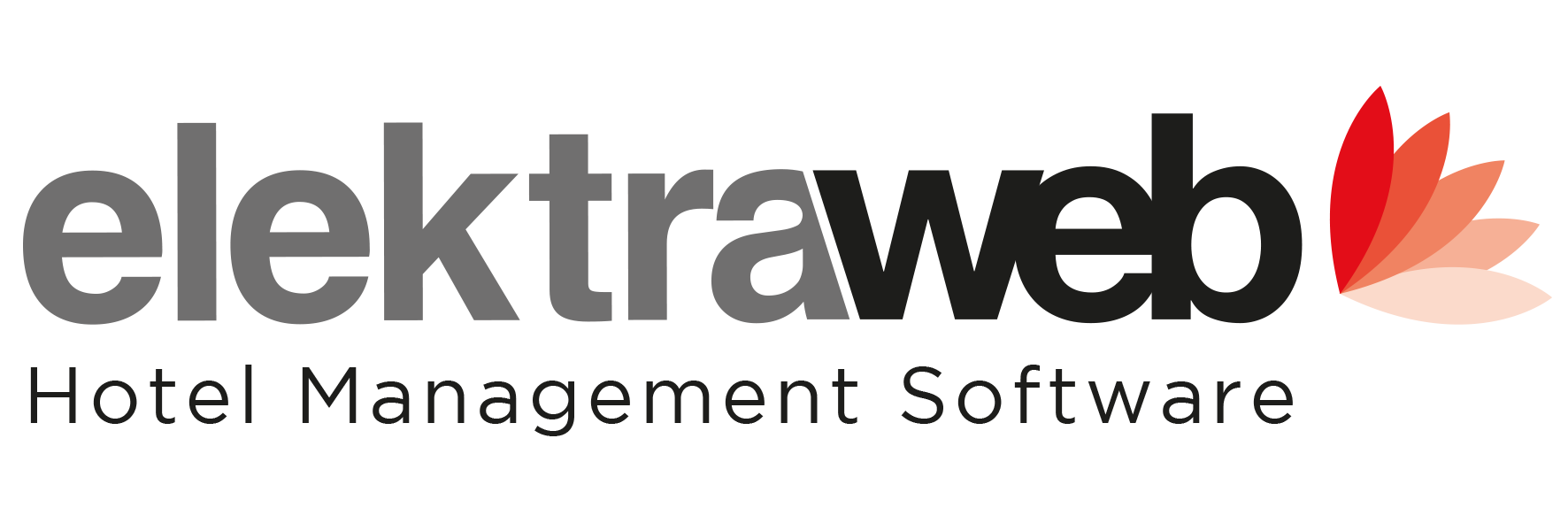 Muse Digitals Istanbul