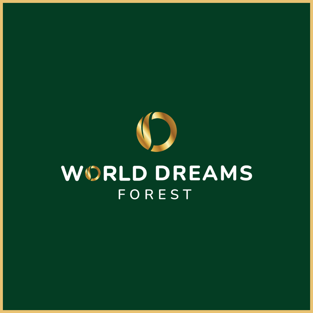 Muse Digitals Istanbul