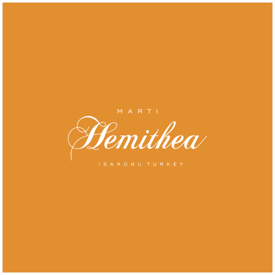 Muse Digitals Istanbul