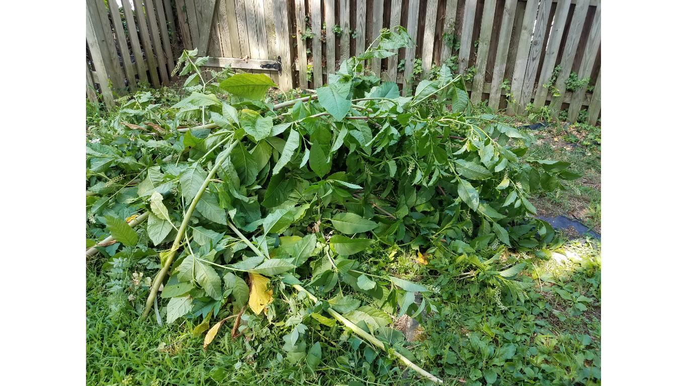 yard debris removal nj