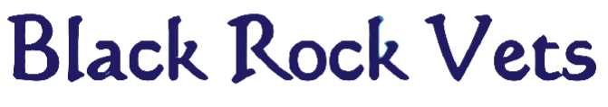Black Rock Vets Logo
