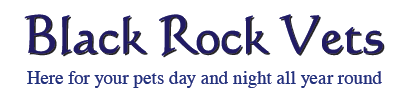 Black Rock Vets Logo