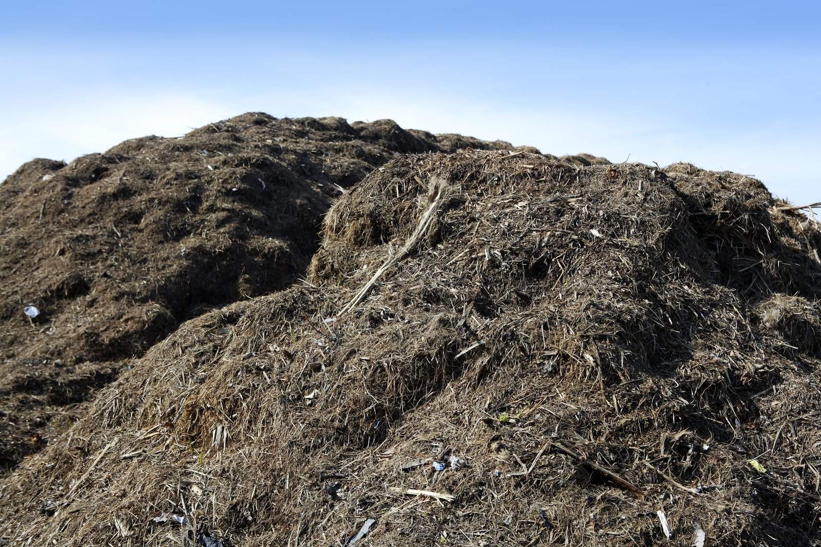 many compost in the ground