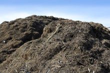 piles of compost in the ground