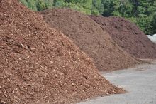 piles of mulch in the ground