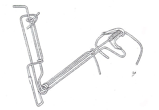 Scherfalle Wühlmausfalle Wolf