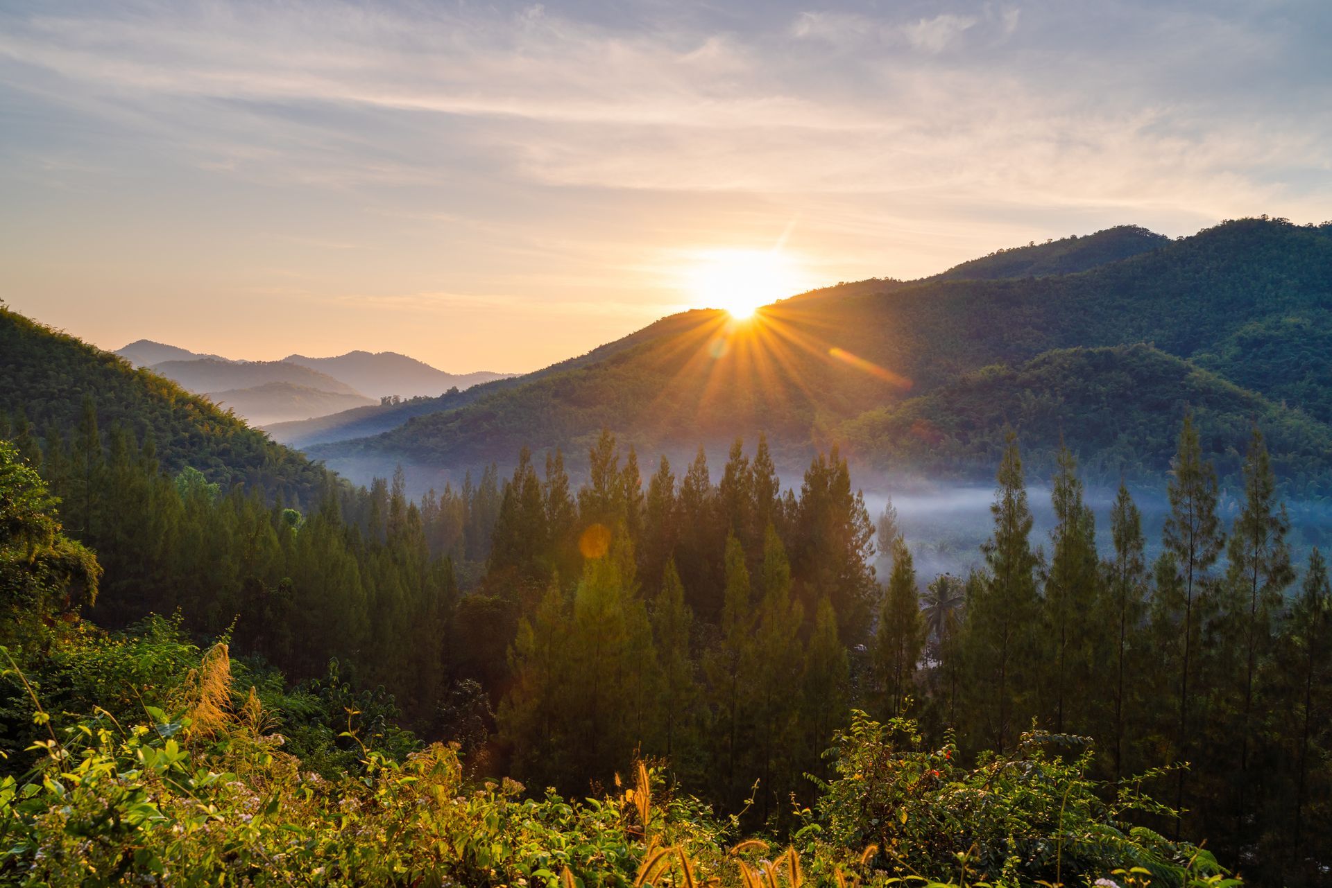 The sun is shining through the trees in the mountains