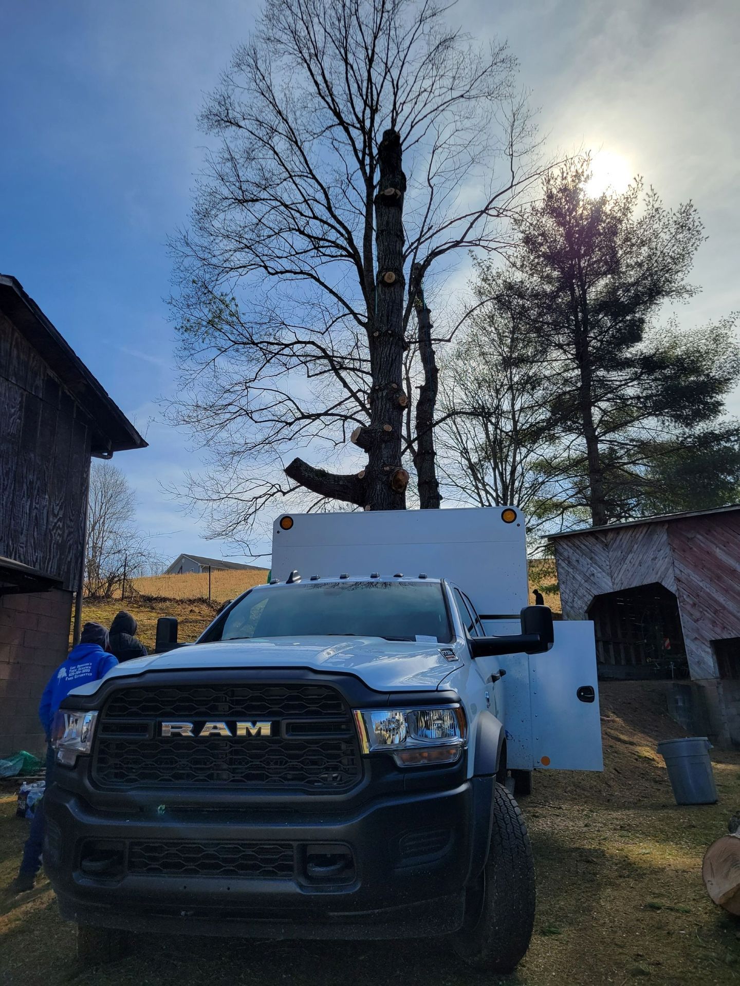 A RAM truck with a utility body, parked beneath a tree being trimmed. Bright sunny day.