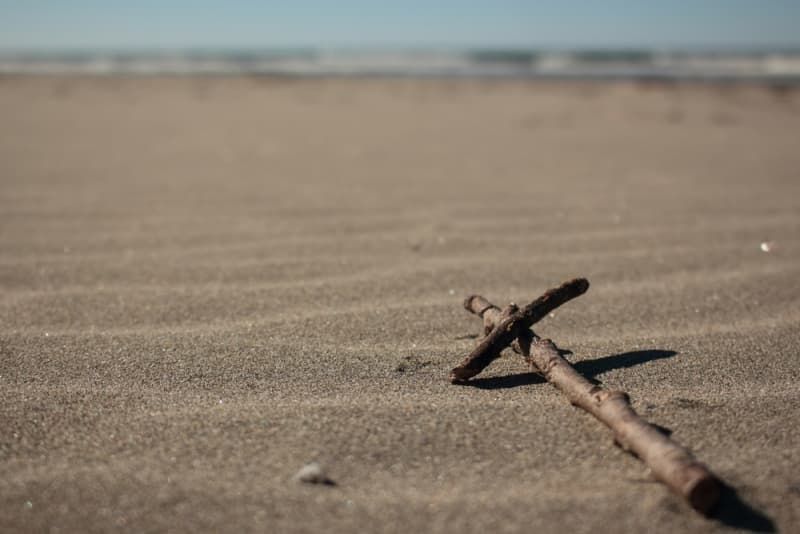 A wooden stick is laying in the sand on a beach.