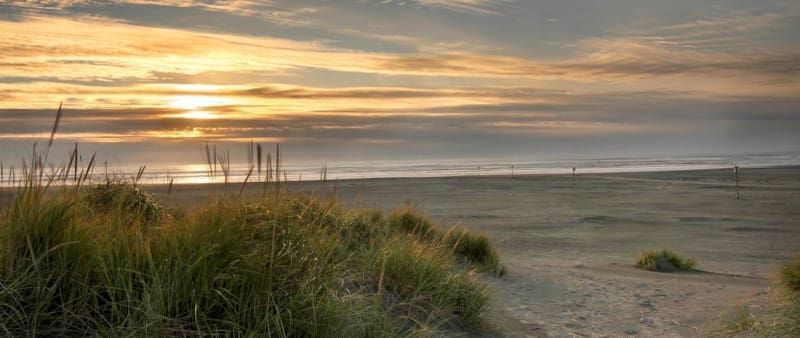 A sunset over a sandy beach with tall grass in the foreground.
