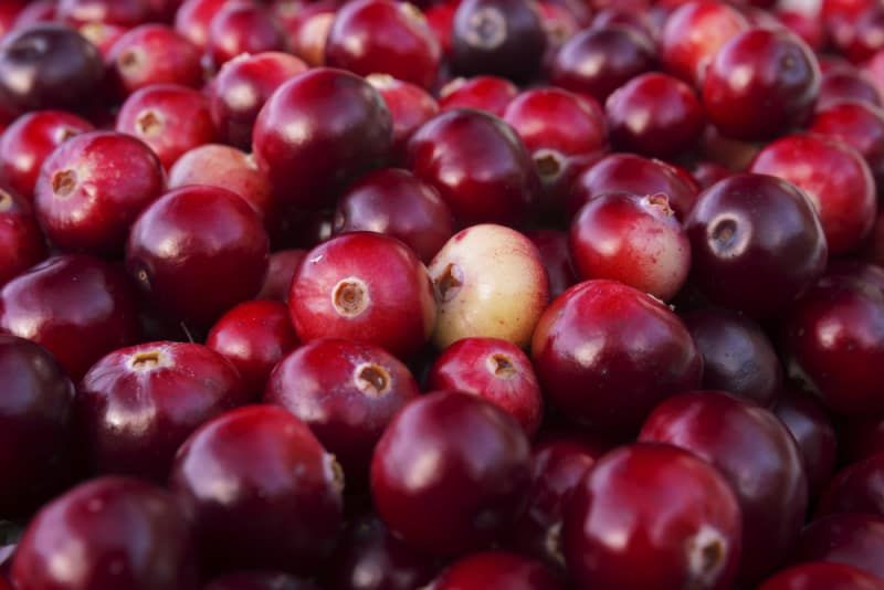 A close up of a pile of cranberries with a white center.