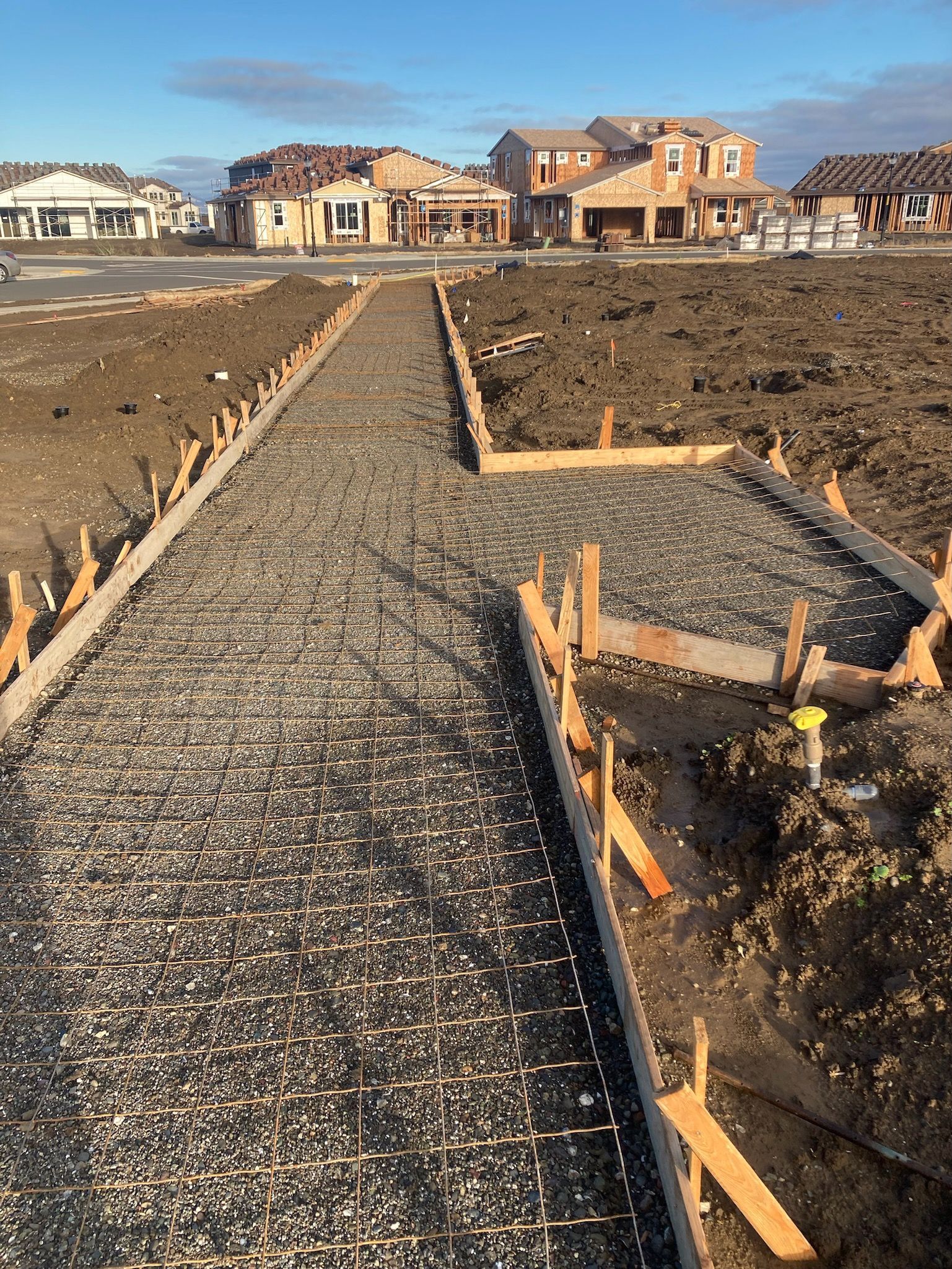 Custom Concrete Sidewalks and Paths
