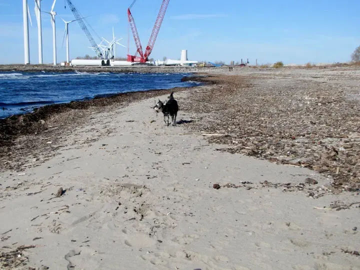 The Canadiana & Crystal Beach