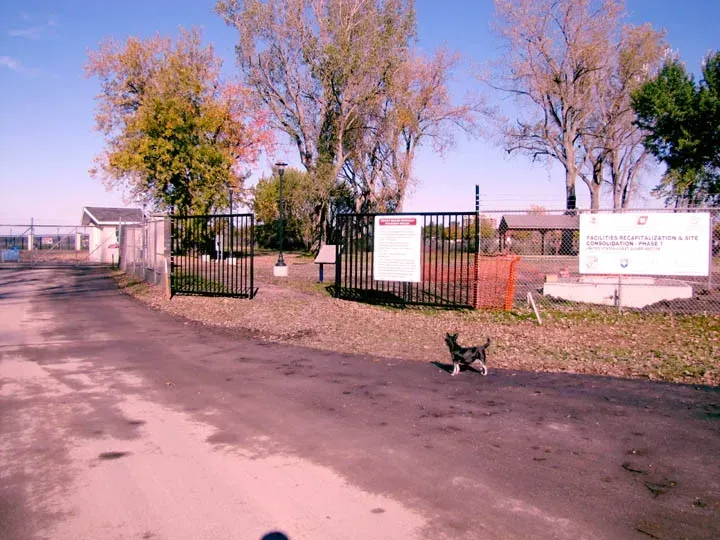 Ship Building in Buffalo and Models of Great Lakes Freighters