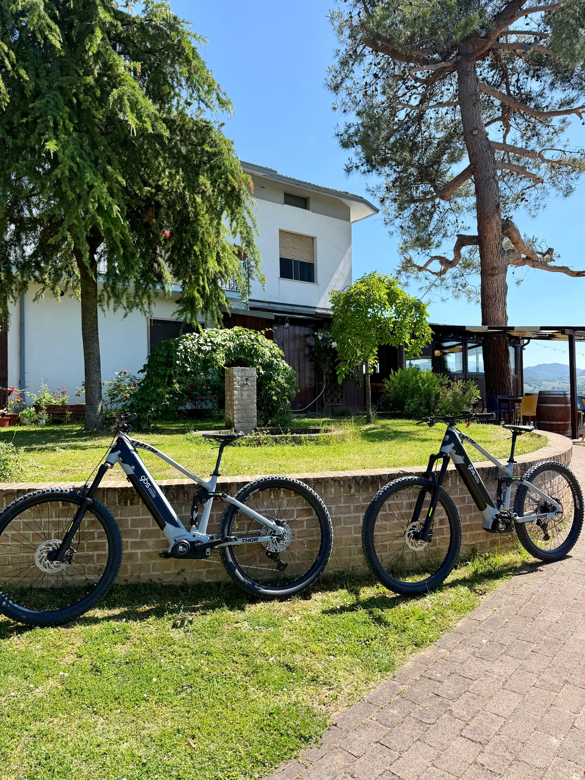 Biciclette biammortizzate a pedalata assistita