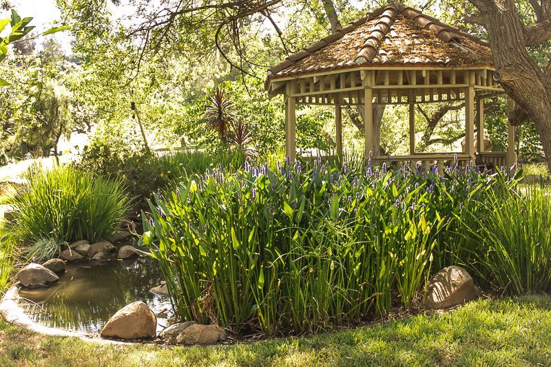a gazebo with a pond in the middle of it