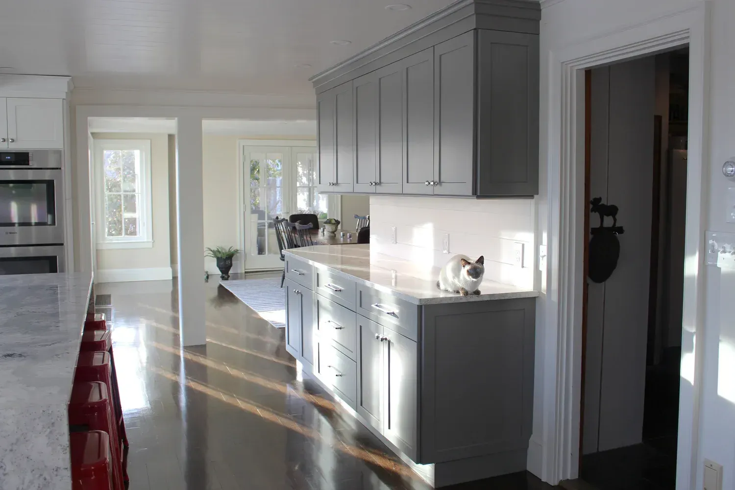 Kitchen with gray cabinets, white countertop, and a small cat. Sunlight streams across the dark wood floor.
