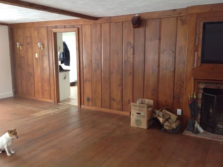 Wooden paneled room with fireplace, doorway, and dog on a wood floor.