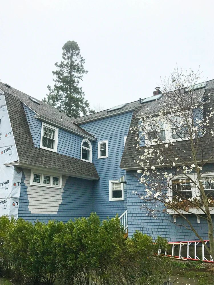 Blue house with gray roof, white trim. Bushes in front, tall tree behind. Cloudy sky.