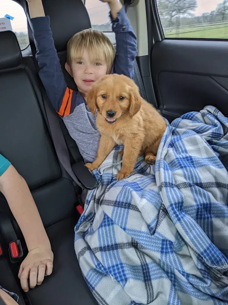 Boy and puppy in car. The boy smiles, puppy sits on a blue plaid blanket.