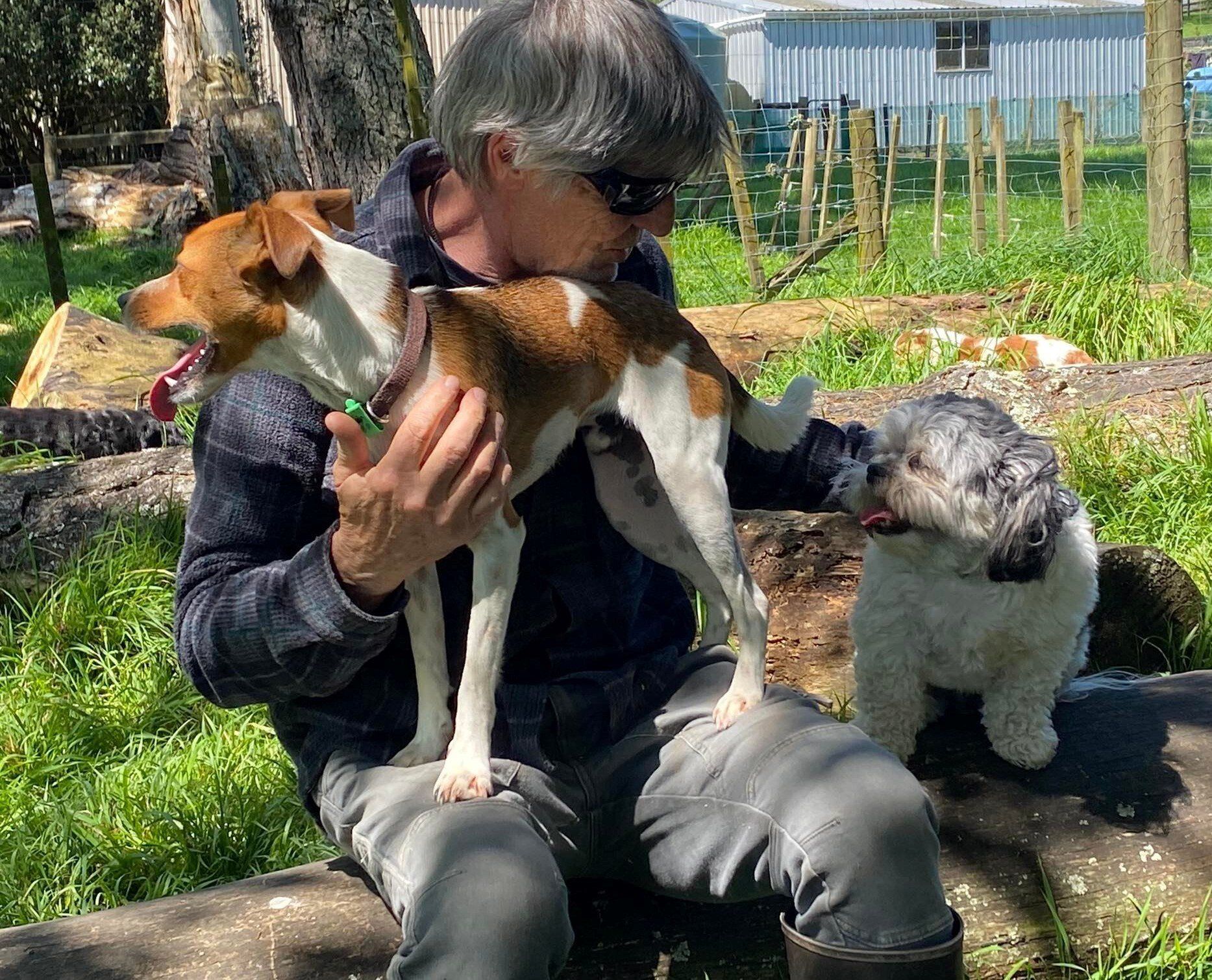 Kennel Waikato, NZ Brackendell Boarding Kennels & Cattery