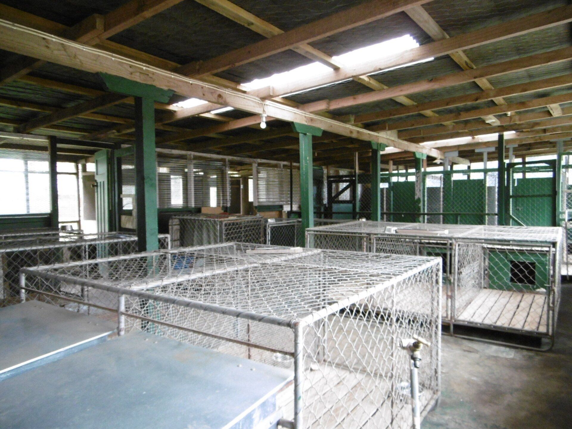 Kennel Waikato, NZ Brackendell Boarding Kennels & Cattery