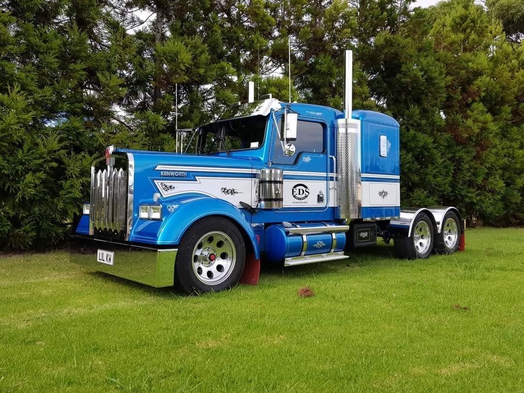 A blue and white semi truck is parked in a grassy field.