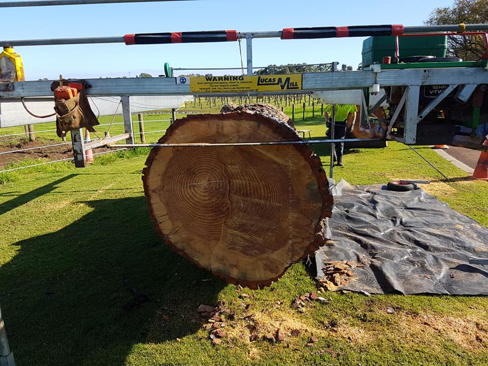 tree tables