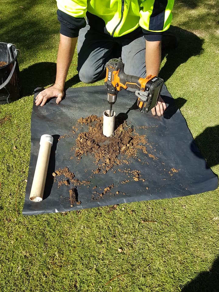 working on the stump